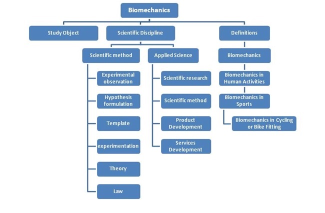 Biomechanics Diagram